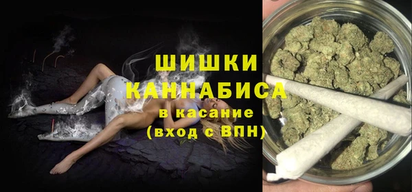 PSILOCYBIN Богданович