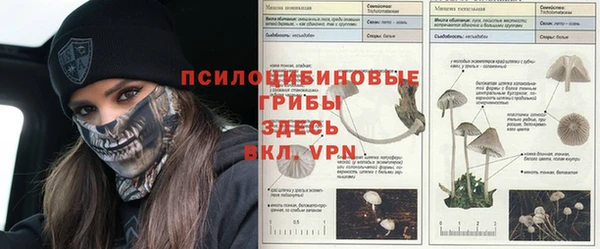 PSILOCYBIN Богданович