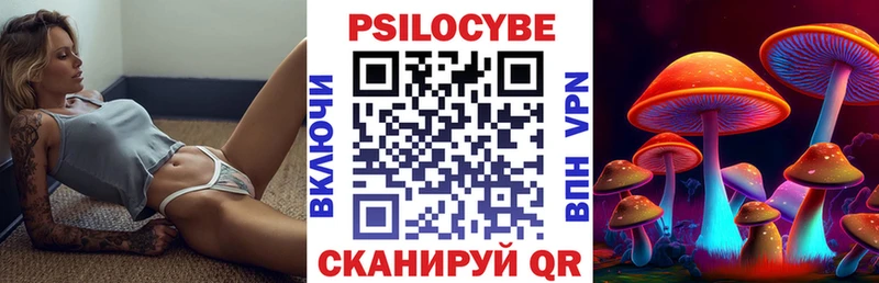 Галлюциногенные грибы Psilocybine cubensis  Якутск 